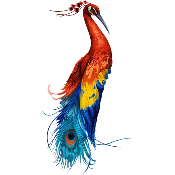 peacock