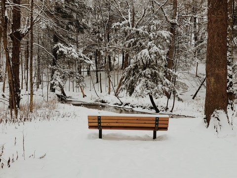 Let It Snow