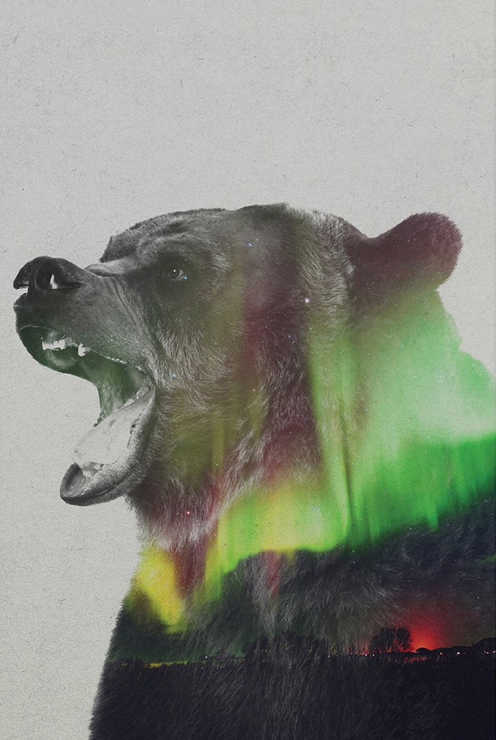 Northern Lights