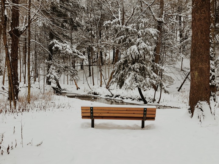 Let It Snow