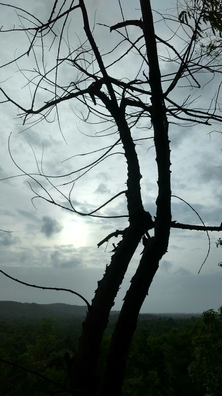evening pic