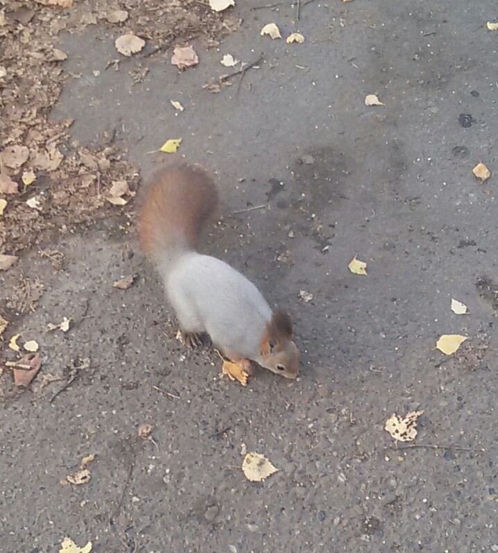 In the park