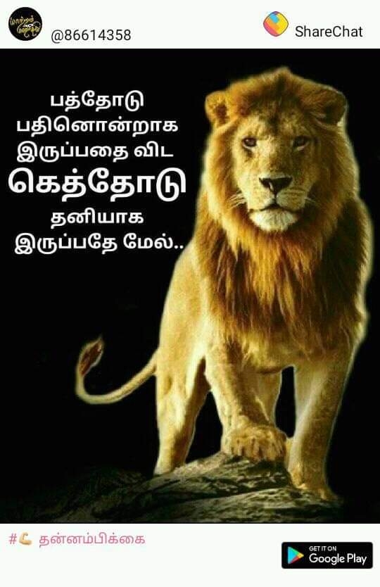 I like