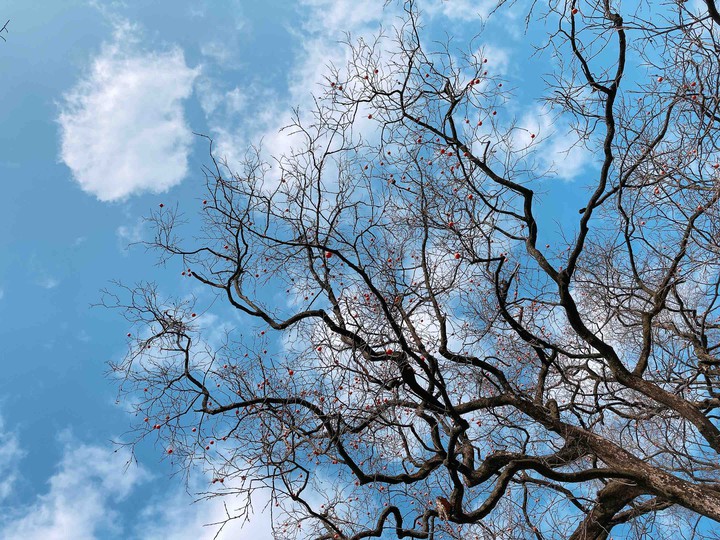 sky