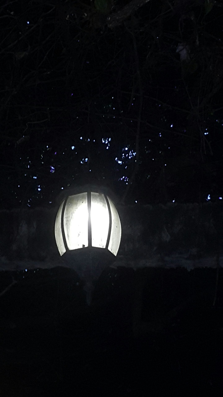 a lonely night