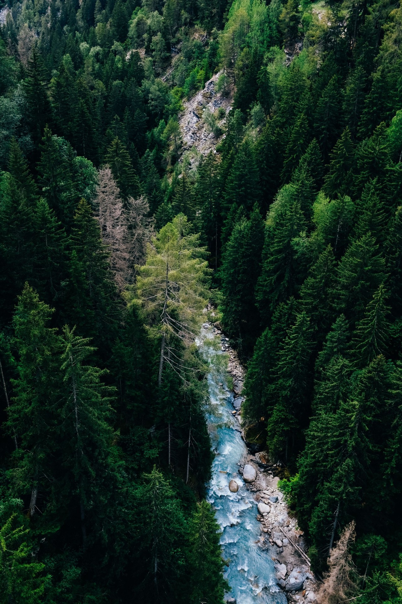 רקעים valley, forest