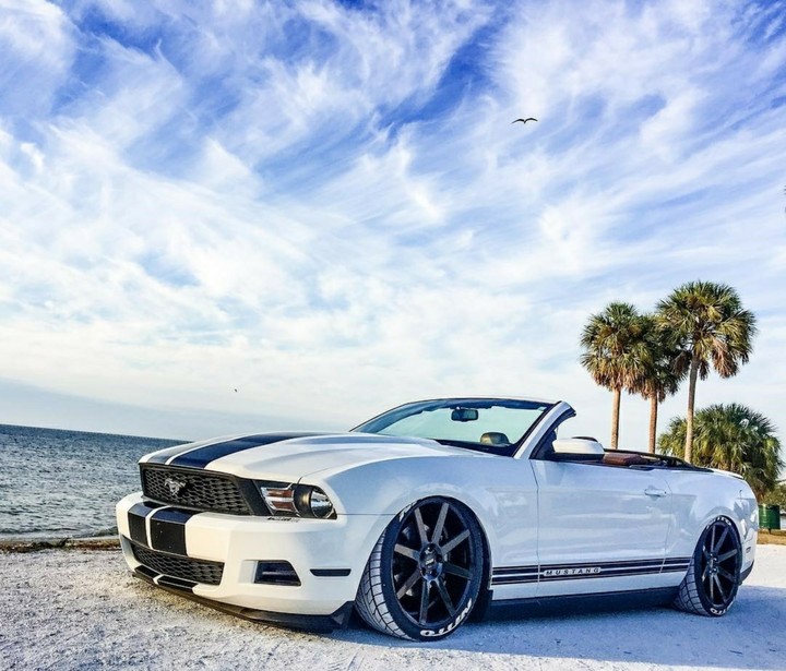 ford mustang white cabriolet sea sky