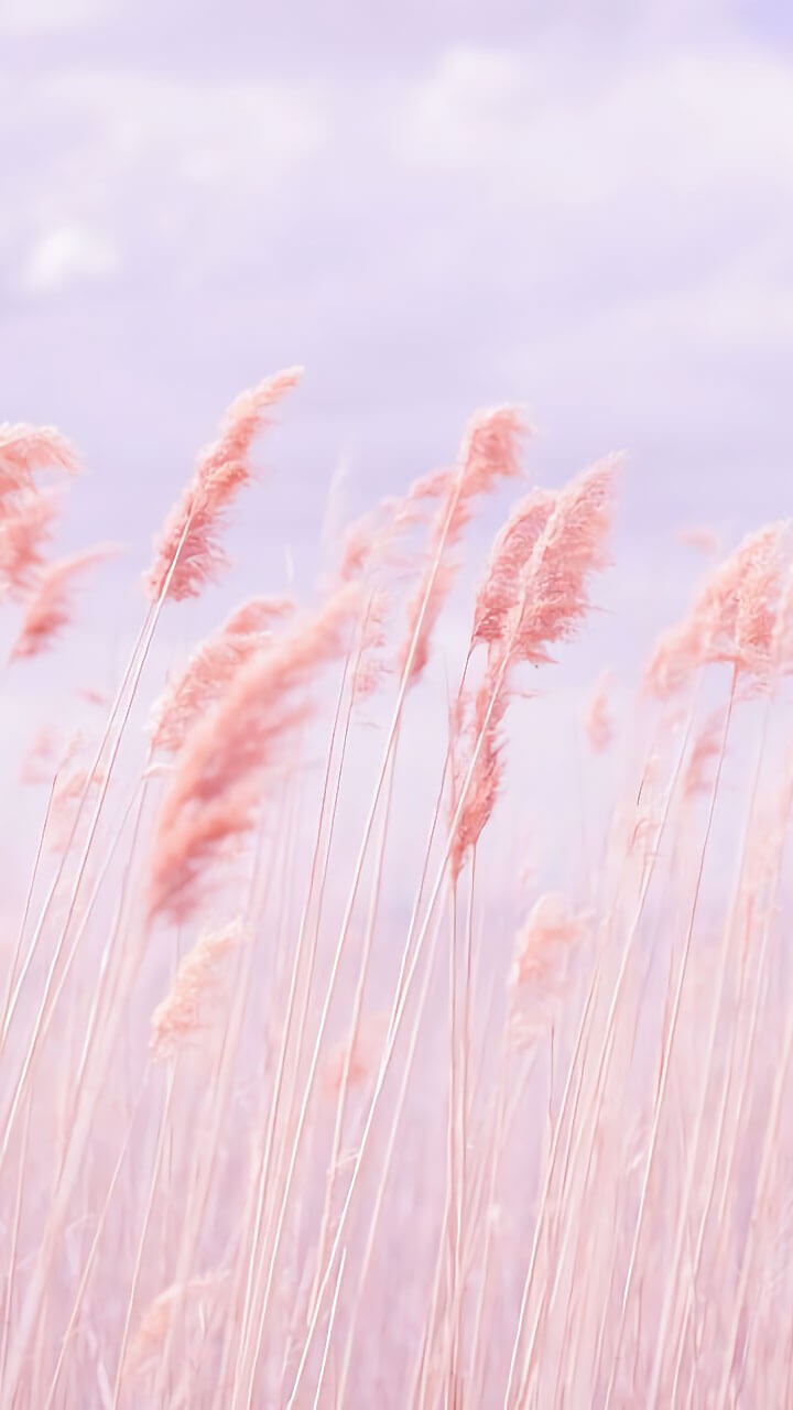 printemps