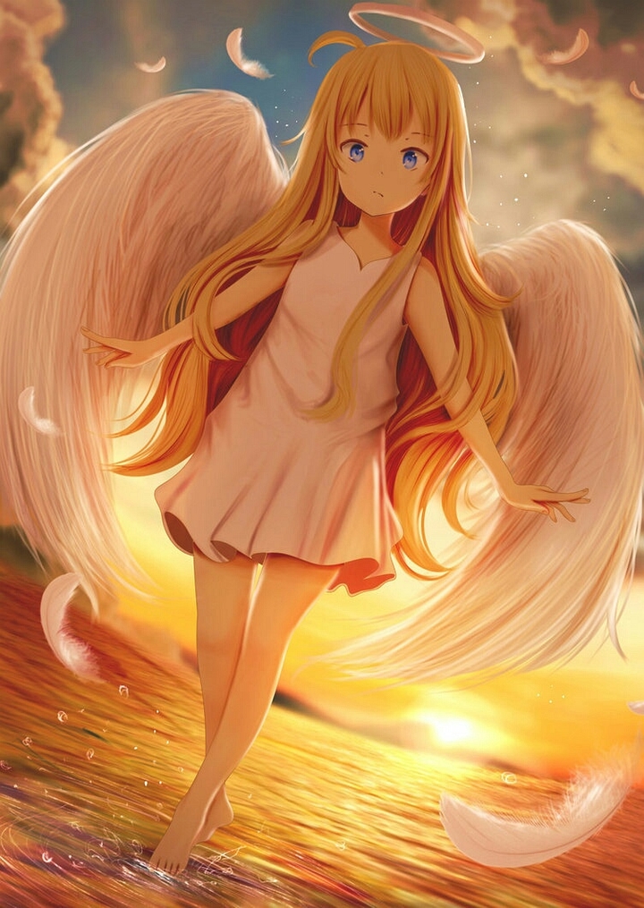 Anime ~ angel ~ girl
