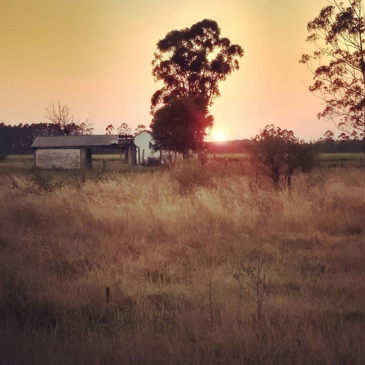 amanecer