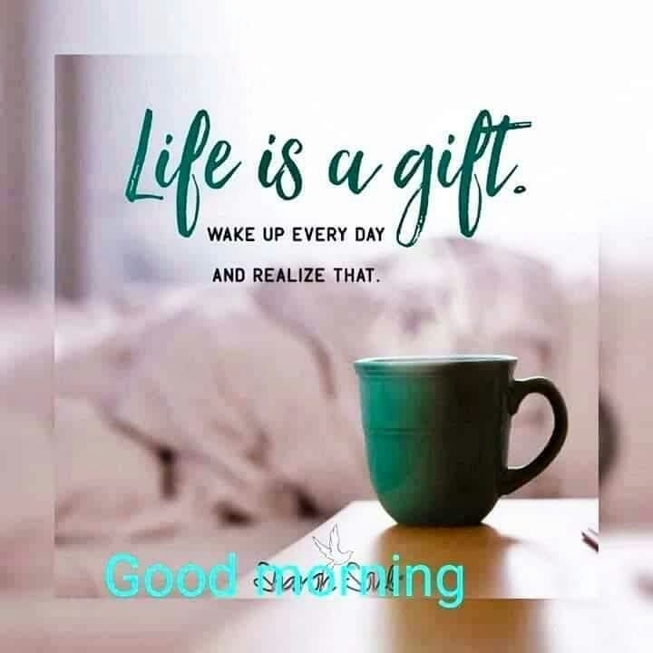 gm4