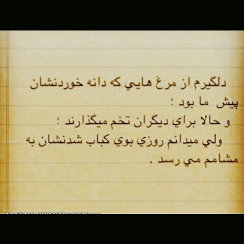 دلـــــــ‌گیرم