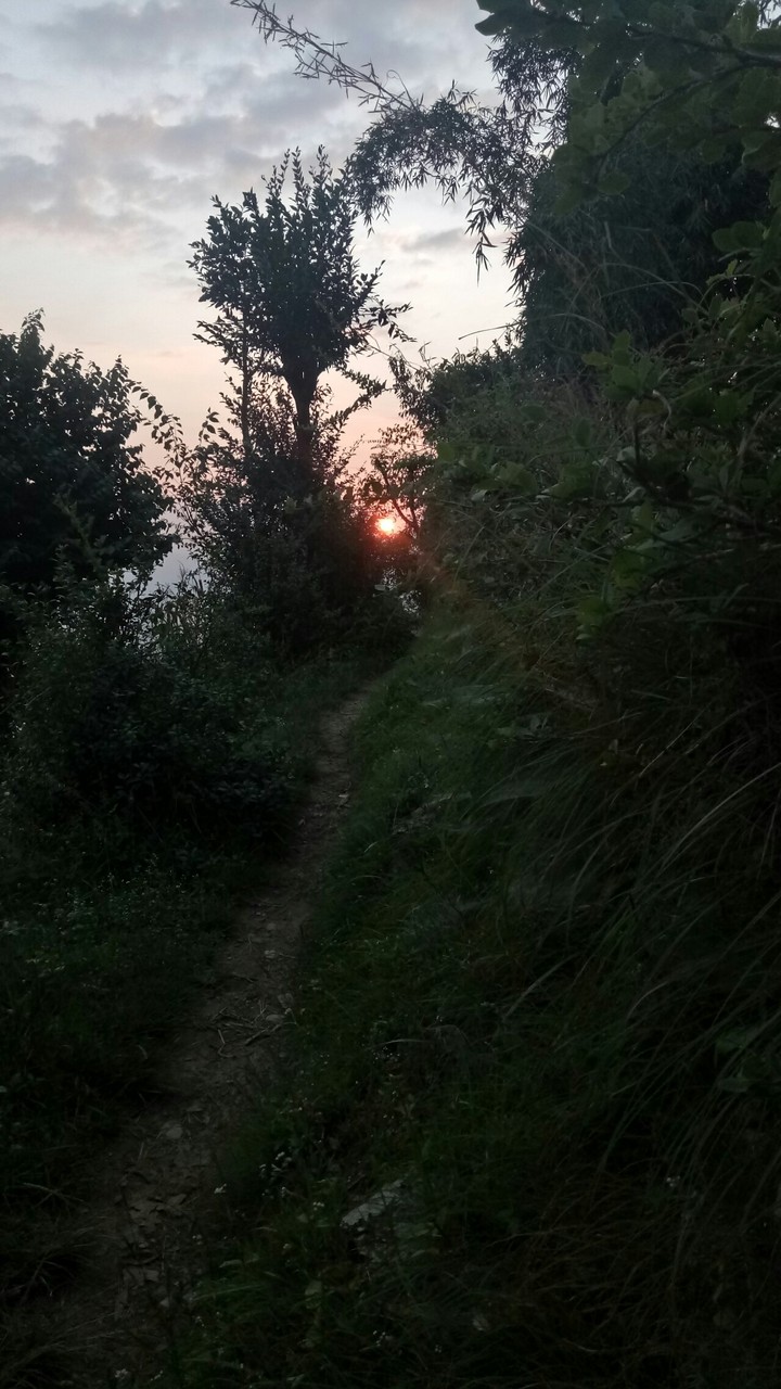 Sun