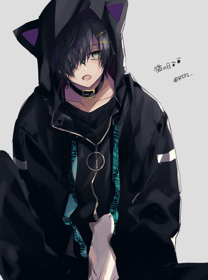 kitty guy