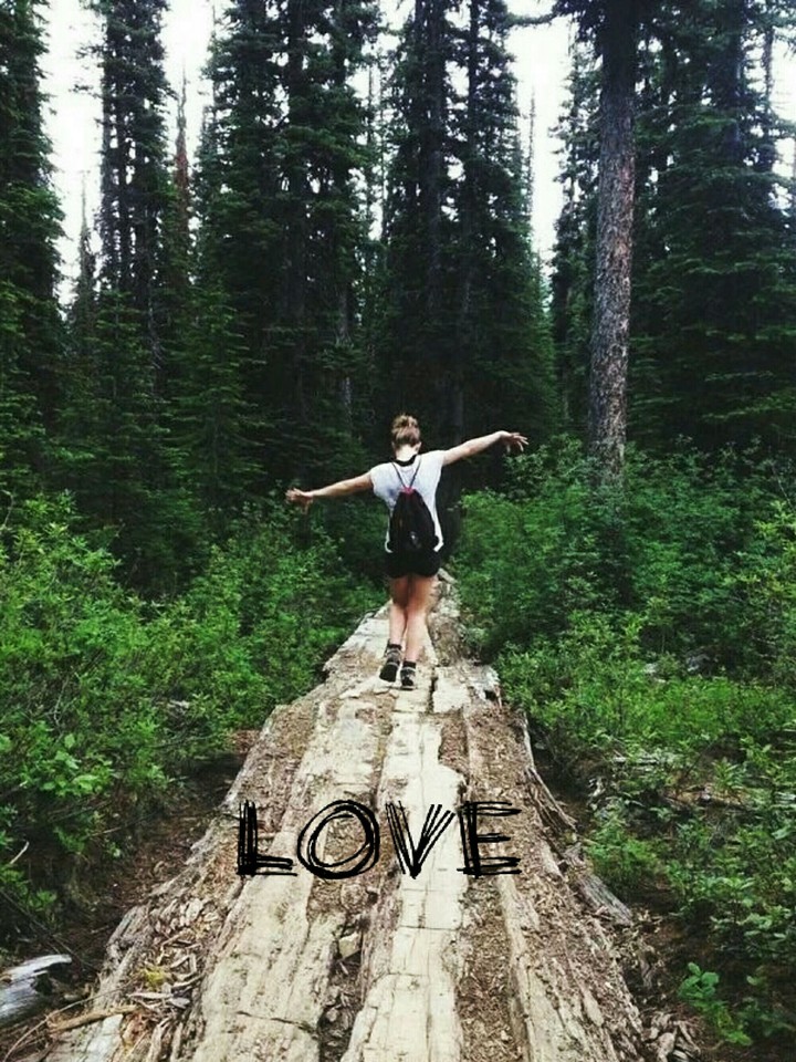 Freedom