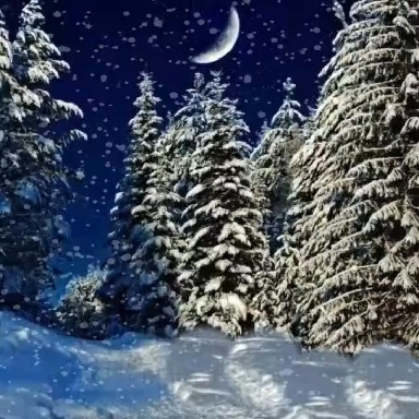Good night and sweet dreams.