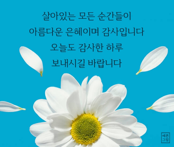 ( ´ ▽ ` )ﾉ