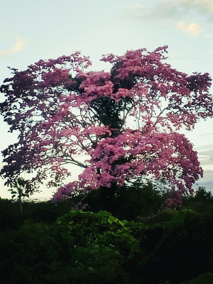 natureza linda de mais amoo