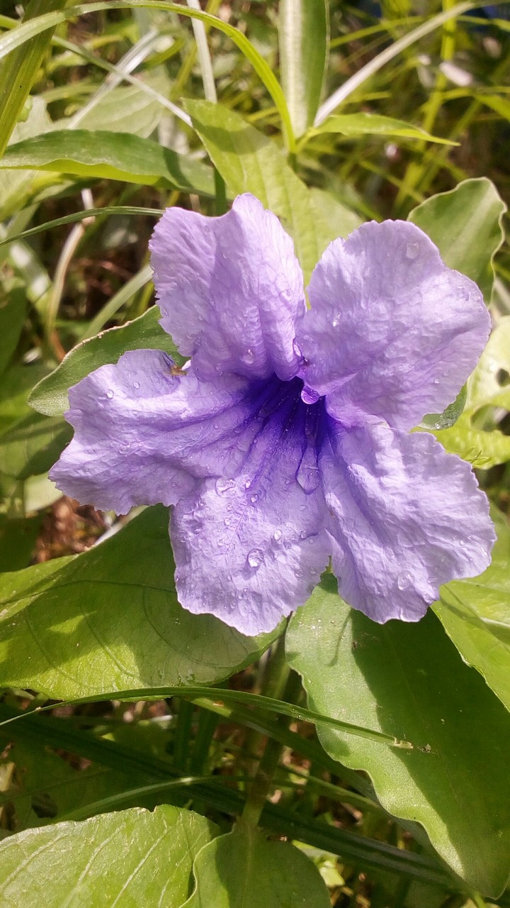 After Rain