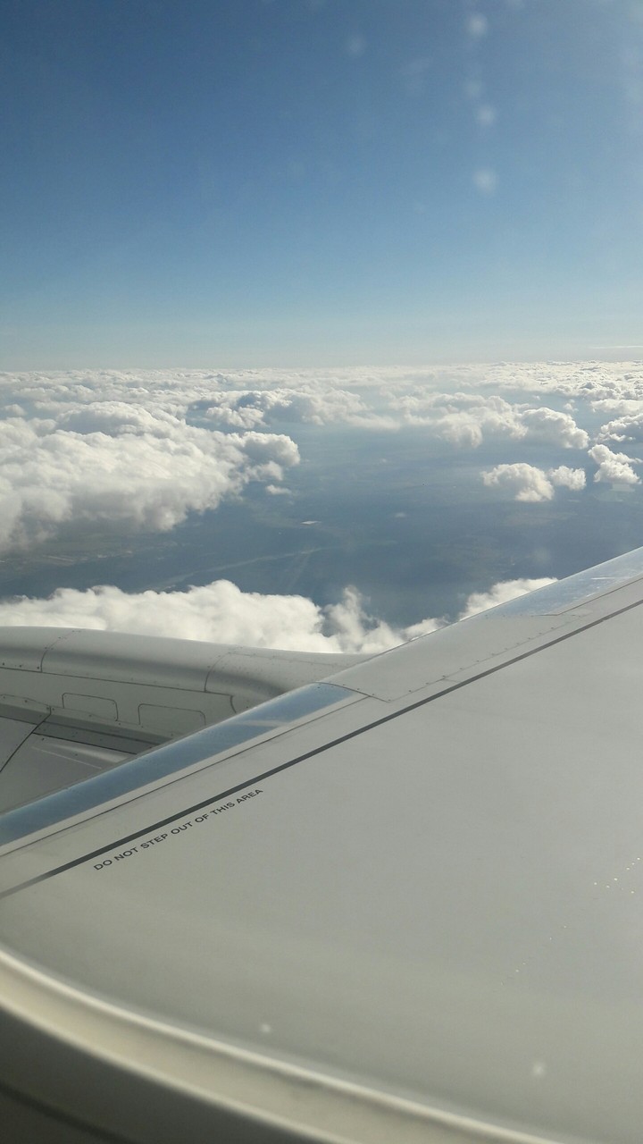 Fly