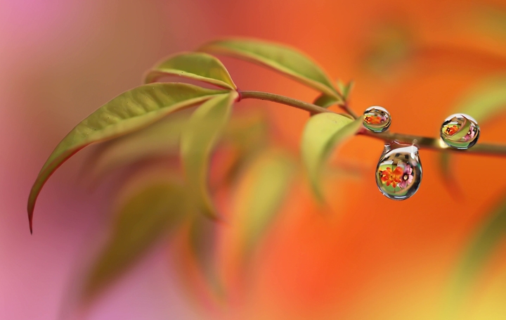 droplet