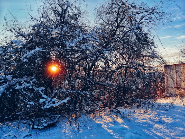 winter