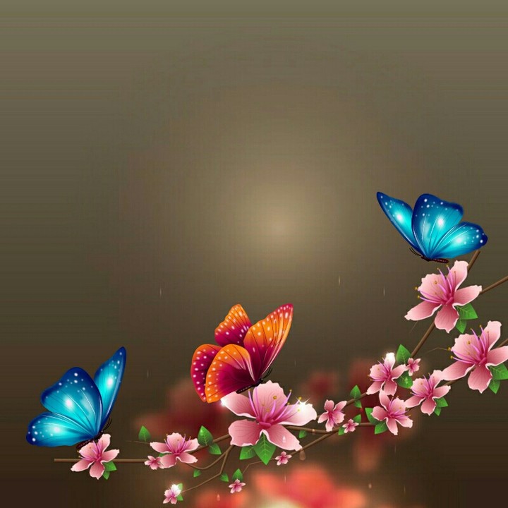Butterfly flower