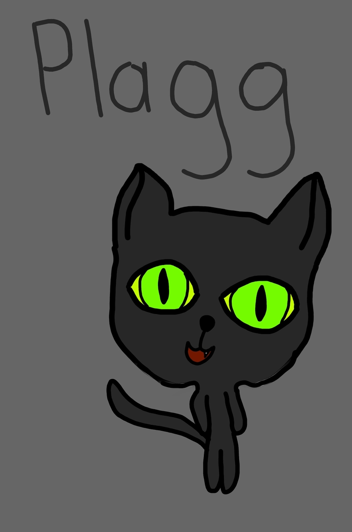 plagg