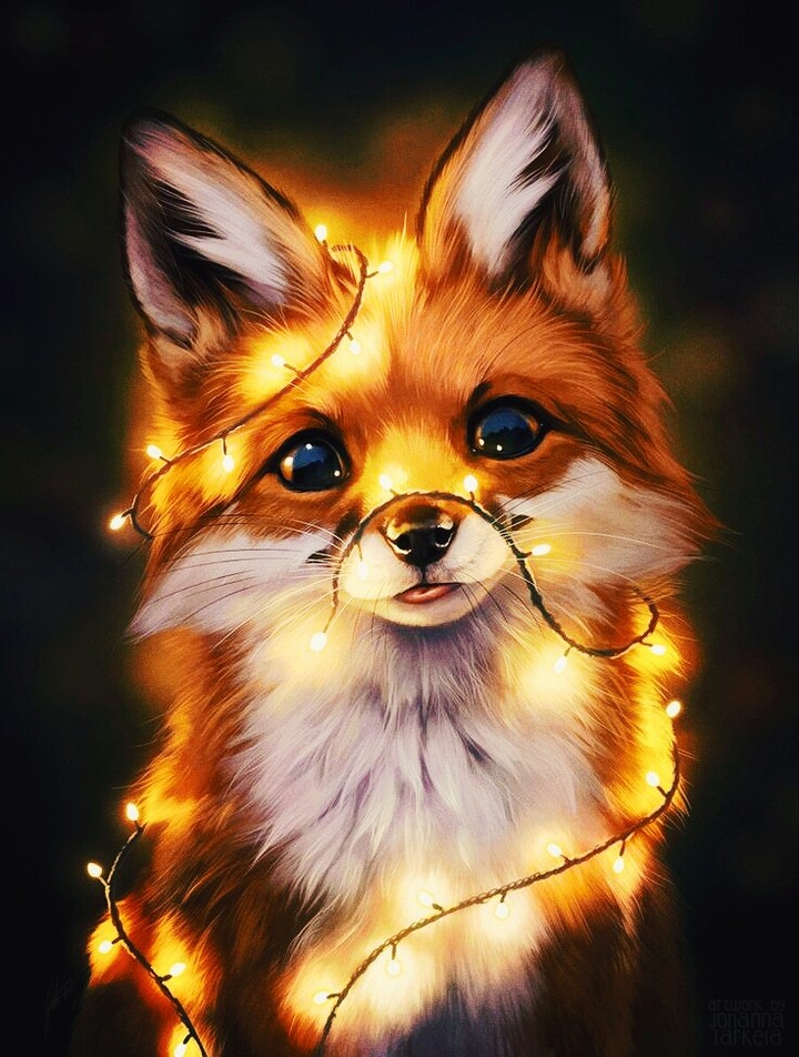 ❤❤❤