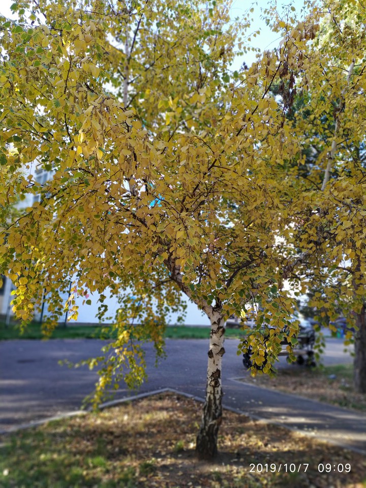 вот и осень