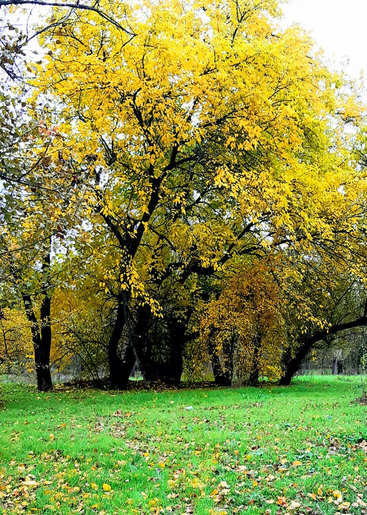 осень