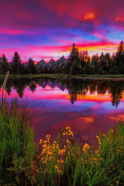 beautiful landscape