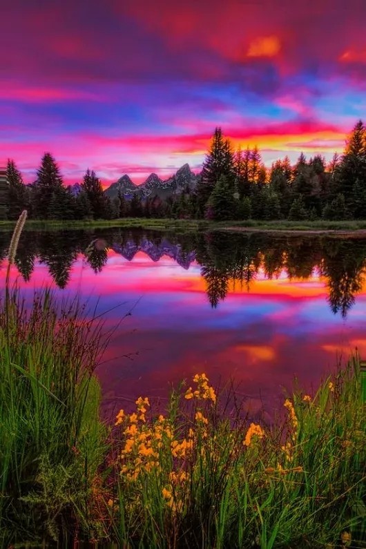 beautiful landscape