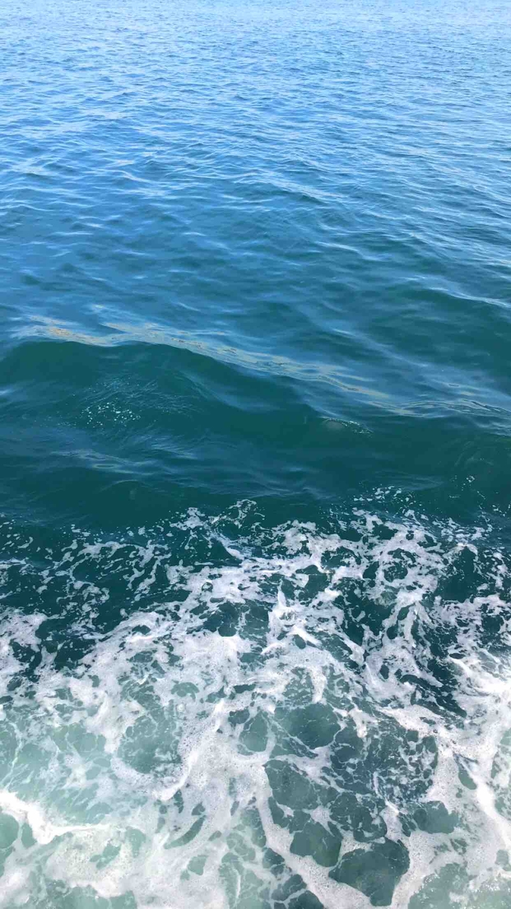 black sea ?