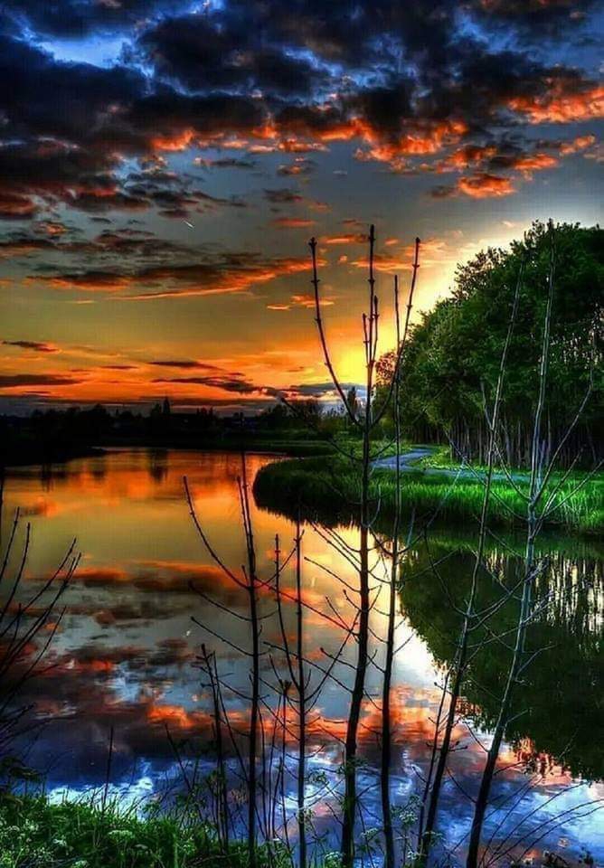 A Kaleidoscope of Colors ❤