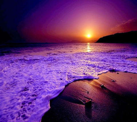 sfondi nature, violet