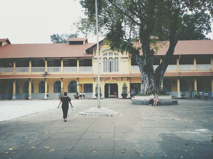 school