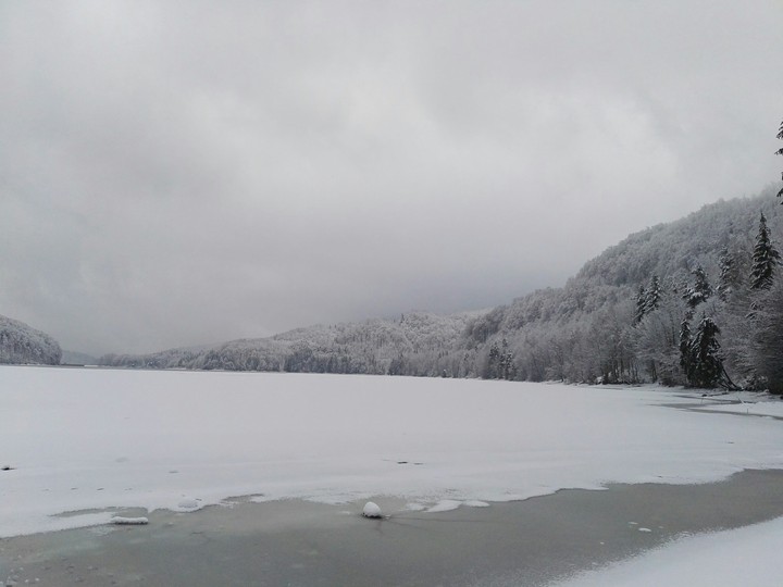 Baia mare