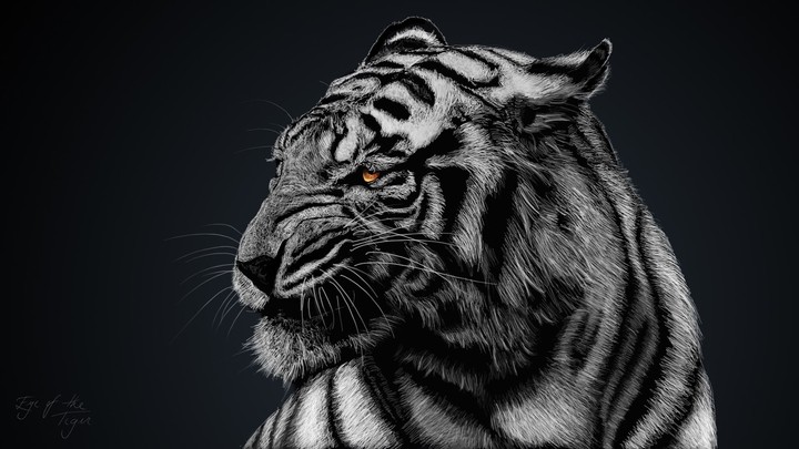 lion