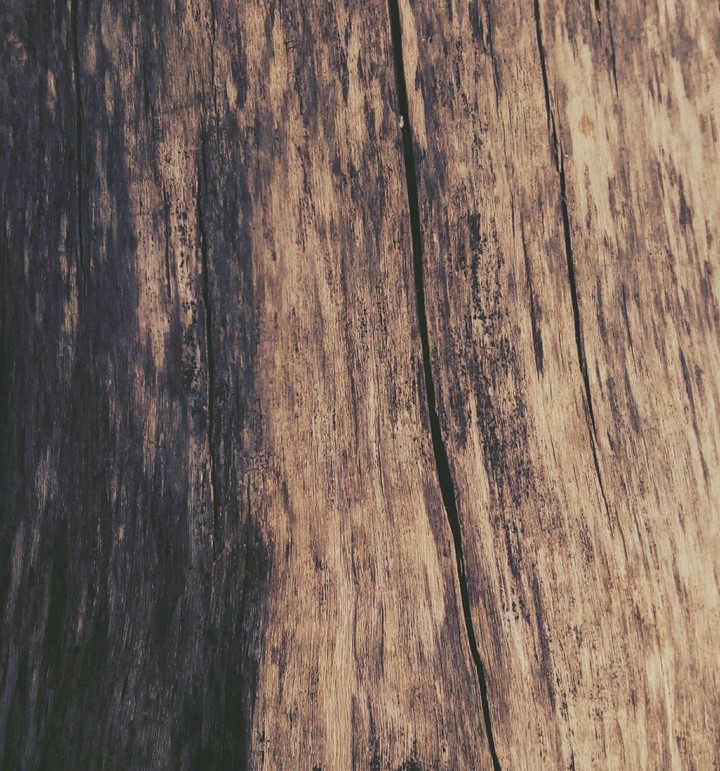 Wood