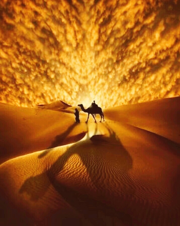 Beauty Of God
