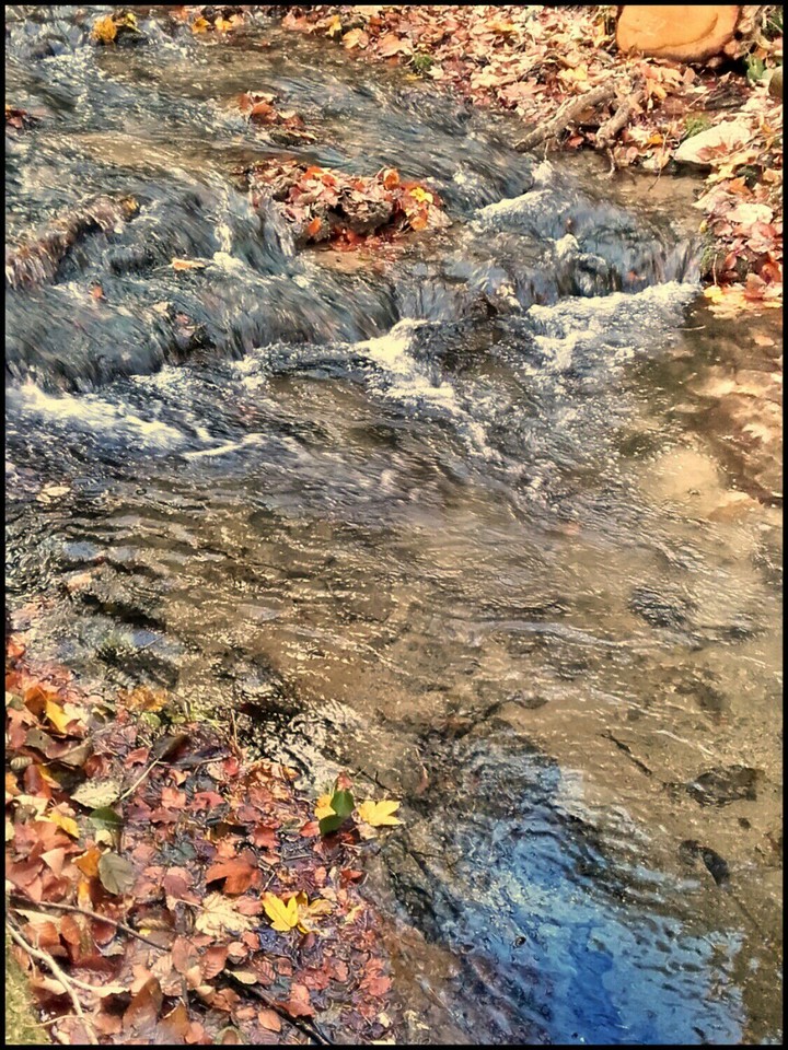 Autumn