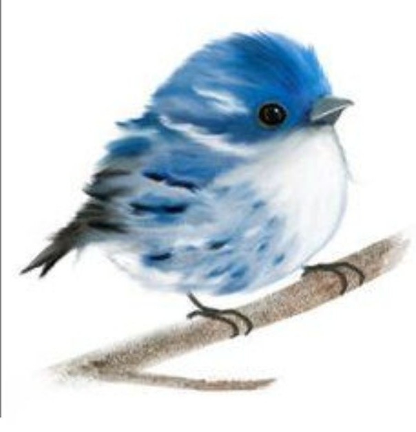 birdy on branch