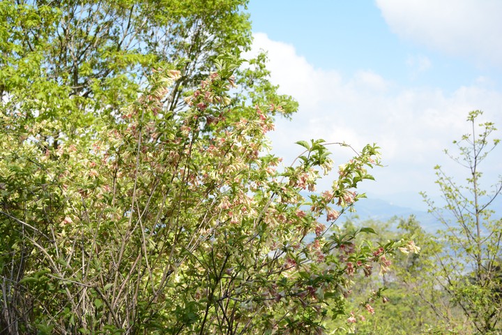 지리산이미지