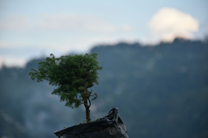 focus