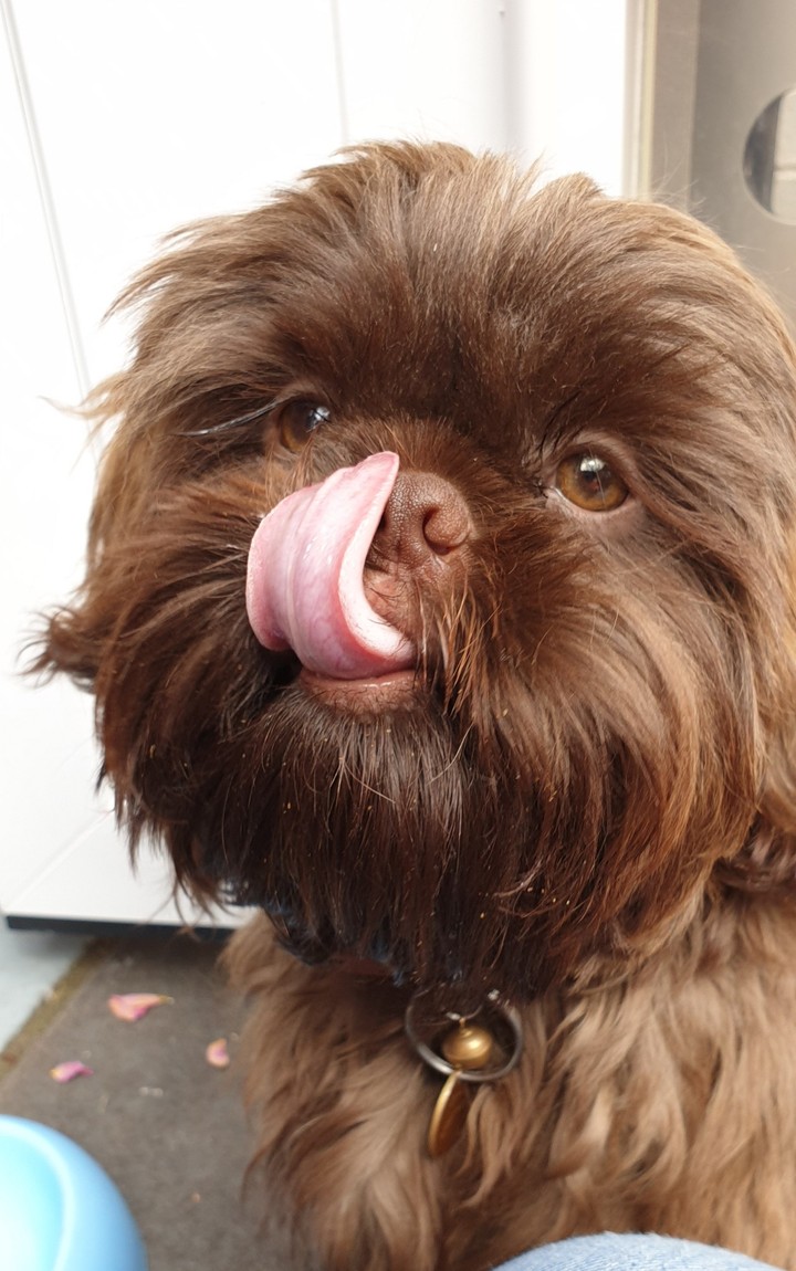 you sticking your tongue out at me!!!