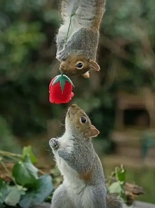 Friendship