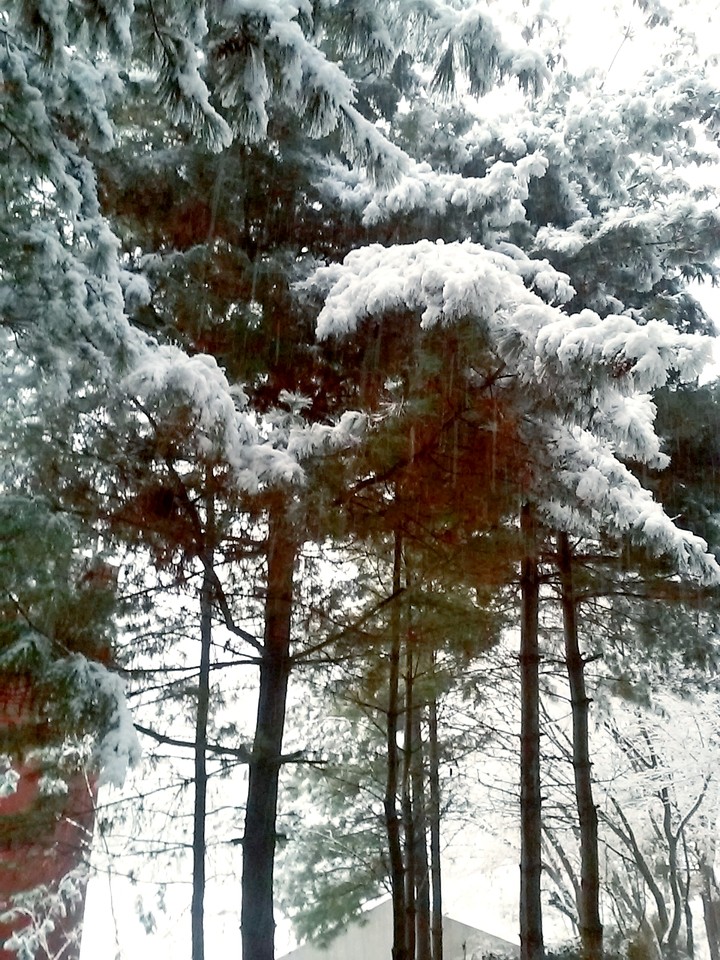 snow