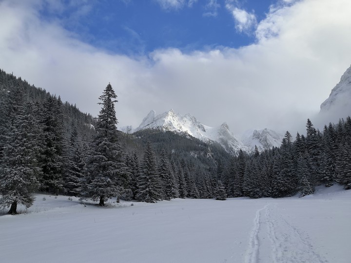 mountain