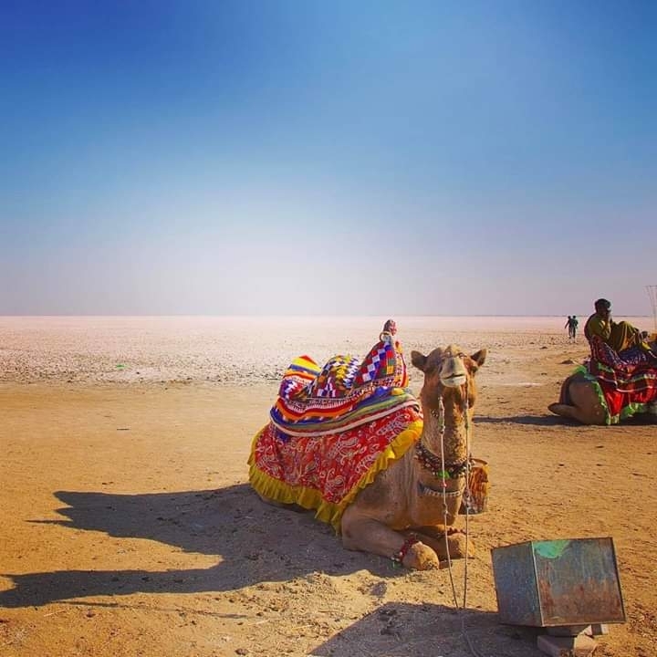 White Rann Of Kutch, Gujarat.